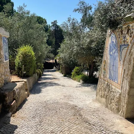 Casa de Campo Quinta Dos Canais Setúbal