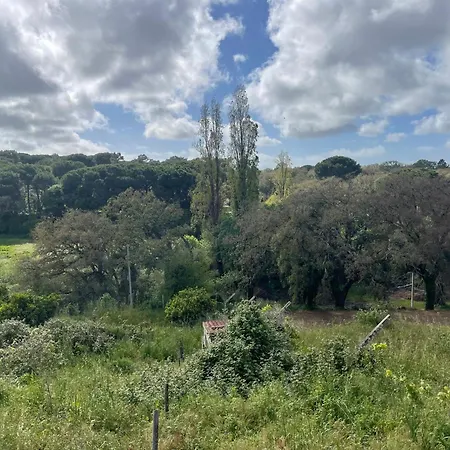 Quinta Dos Canais בית כפרי שטובל