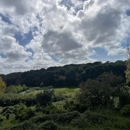 Quinta Dos Canais * שטובל