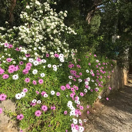Quinta Dos Canais בית כפרי שטובל