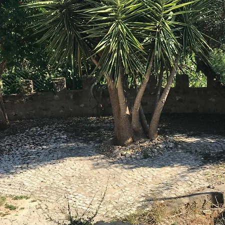 Quinta Dos Canais בית כפרי שטובל