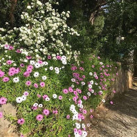 Quinta Dos Canais בית כפרי