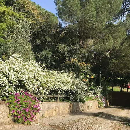 Quinta Dos Canais *