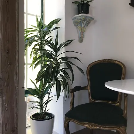 Quinta Dos Canais * שטובל