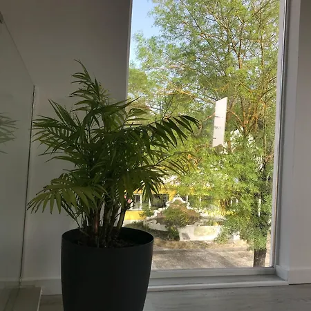 Quinta Dos Canais Setúbal