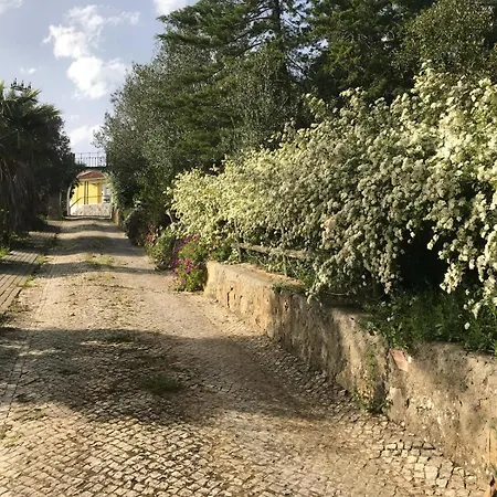 Quinta Dos Canais * שטובל