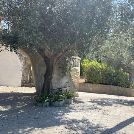 Quinta Dos Canais 컨트리하우스