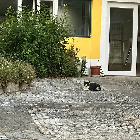Venkovský dům Quinta Dos Canais *
