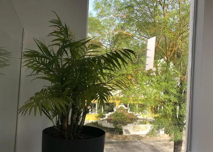 Quinta Dos Canais Setúbal